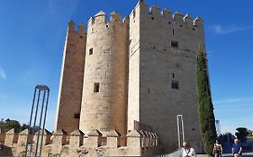Loft La Calahorra con posibilidad de aparcamiento Pregunta por el PACK MÁS AMOR